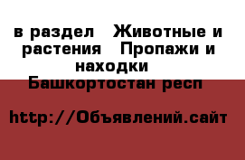  в раздел : Животные и растения » Пропажи и находки . Башкортостан респ.